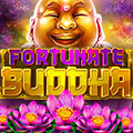 DachBet free spins 